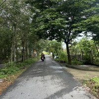 Bán Đất Nền 1000M2 Tại Trương Thị Kiện, Thái Mỹ, Củ Chi, Hcm Chỉ