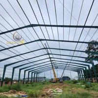 Cho Thuê Xưởng Hơn 9000M2 Gần Cảng Cái Mép - Bà Rịa Vũng Tàu, Giá Thuê Ưu Đãi Tháng 12 Là 60K/M2/Th