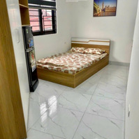 Bán Ccmn 7 Tầng, 17 Phòng Ngủkhép Kín, Tại Đê Tô Hoàng, Hai Bà Trưng, Hà Nội, Giá 13,8X Tỷ, 61M2, Hàng Hot