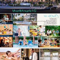 Căn Hộ Từ 2 - 3 - 4 Phòng Ngủ Tại Chung Cư Bluegem, Giá Tốt, Tiến Độ Thanh Toán Linh Hoạt