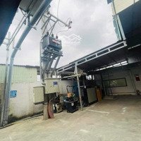 Cho Thuê 3000M2 Có 2.200M2 Xưởng Tân Phước Khánh - Tân Uyên- Bd Bình Điện 250Kwa Đường Container