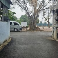 Chính Chủ Cần Bán Nhanh Đất Lô Góc Tại Dương Xá Gia Lâm Chỉ 60 Triệu/ M2