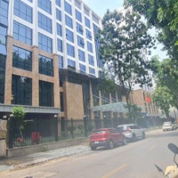 Chào Bán Nhà Mặt Phố Nguyễn Bỉnh Khiêm