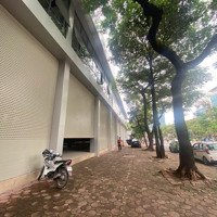 Cho Thuê Showroom - Văn Phòng Mặt Phố Hoàng Quốc Việt Giá Sốc