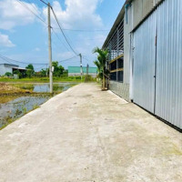 Hàng Hiếm!!! Chính Chủ Gửi Bán Nhà Vườn Rộng Gần 600M2, Có Sẵn Nhà Cấp 4 Kiên Cố, Điện Nước Có Sẵn.