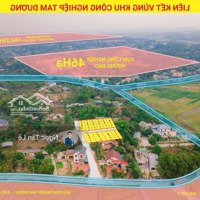 10 Lô F0, Mặt Tiền 6,6M, 10M. Cạnh Khu Cn Tam Dương, Cụm Cn Hướng Đạo.