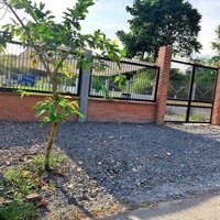 Chỉ Một Lô Duy Nhất! Đất Vườn 500M 150M Thổ Cư Giá Chỉ 650 Triệu, Shr, Tại Phước Lý - Cần Giuộc