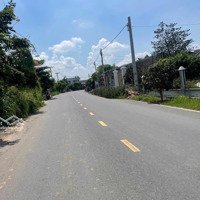 Chỉ Một Lô Duy Nhất! Đất Vườn 500M 150M Thổ Cư Giá Chỉ 650 Triệu, Shr, Tại Phước Lý - Cần Giuộc