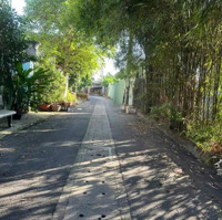 Bán Đất Đường Nhựa 4M Thông. Khu 8, Phú Hoà, Tp Thủ Dầu Một