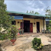 Chủ Gửi Bán Gấp Lô Đất Vườn Có Nhà Sẵn, Nằm Ngay 2 Mặt Tiền Đường Nhựa Đẹp Rộng, Giá 740 Tr