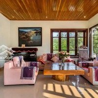 Cho Thuê Villa 3 Tầng Đẹp Mướt Mờ - Có Hồ Bơi - Khu Nam Việt Á