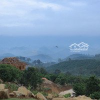 Đất Ngay Bảo Lộc, Cộng Đồng Nhà Gỗ Ven Suối, Sự Nguyên Bản Của Thiên Nhiên - Mang Giá Trị Bền Vững