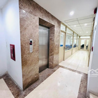 Cho Thuê Nhà Mp Kim Mã Ba Đình 300M X9 Tầng Thông Sàn, Thang Máy Có Pccc Kd Mọi Mô Hình Giá 280 Triệu