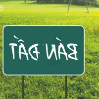 Đất Đang Chờ Chủ Mới Tại Thụy Lôi, Tiên Lữ, Hưng Yên