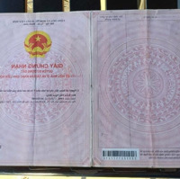 314M2 Đất Lúa- Đường Đan Oto Đậu Ngay Đất - Phước Lợi, Bến Lức- Chỉ 900 Tr Tl