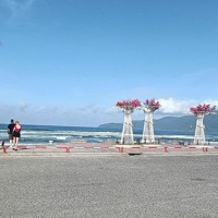 Siêu Hiếm--Mặt Tiềndương Đình Nghệ - Khu Sầm Uất-Cụm Dân Cư Hàn Quốc- Kd Tốt.