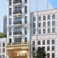 Cần Cho Thuê Mặt Phố Tuệ Tĩnh, Sảnh Tầng 1 Toà 8 Tầng;Diện Tích100M2,Mặt Tiền9M, Vị Trí Đẹp Tiện Kd Cafe