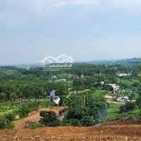 Bán 4900M2 View Đẹp Đông Xuân, Quốc Oai, Hà Nội 4 Mặt Là View Đẹp Thoáng Giá Hơn 2 Triệu/M2