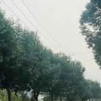 Đất Lan Anh 2 Tại Đường 23, Hòa Long, Bà Rịa, Bà Rịa Vũng Tàu, Giá Thỏa Thuận, 96M2