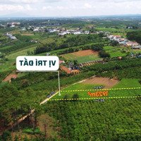 Ngộp Chỉ 2.8 Tỷ Sở Hữu 1923M2, Mặt Đường 20M, Gần Ngã 5 Đamb''ri Bảo Lộc, Lâm Đồng
