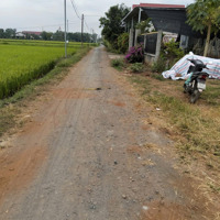 Bán Lô Đất 230M2 Đất Ở Giá 9Xx. Cách Ql1A 400M - Sổ Hồng Riêng