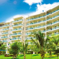 Bán Cc Ocean Vista, Nguyễn Đình Chiểu, Phú Hài, Phan Thiết, 3,9 Tỷ, 136M2, View Biển Đẹp!