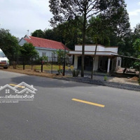 Bán Nhà Mặt Phố Tại Tỉnh Lộ 6, 9 Tỷ, 1036M2, Chính Chủ Giá Siêu Hời, Củ Chi, Hcm