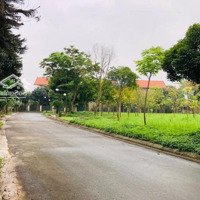 Kiệt Sức Tìm Bt Dưới 16 Tỷ, Liền Kề Đông Anh, Đi Bộ Sang Sân Bay. Điện Thoại Chính Chú Trang Bìa