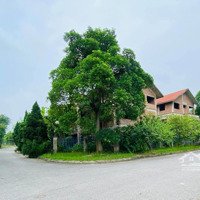 Kiệt Sức Tìm Bt Dưới 16 Tỷ, Liền Kề Đông Anh, Đi Bộ Sang Sân Bay. Điện Thoại Chính Chú Trang Bìa