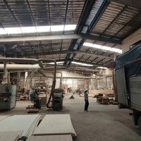 Cho Thuê Kho, Nhà Xưởng Tại Thuận Giao, Thuận An, Bình Dương, Giá Ưu Đãi 70 Triệu, 2000M2