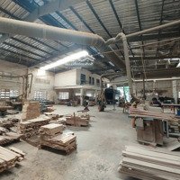 Cho Thuê Kho, Nhà Xưởng Tại Thuận Giao, Thuận An, Bình Dương, Giá Ưu Đãi 70 Triệu, 2000M2