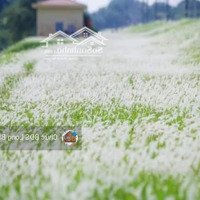 Bán Nhà Dân Xây Mặt Phố Kinh Doanh 30M, Mặt Tiền 4M Giá Bán 4.2 Tỷ Nhà Mặt Phố Nên Ảnh Ở Chế Độ Tĩnh
