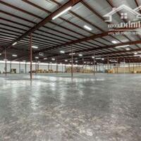 Cho Thuê Nhà Xưởng 18.000 M2 Trong Kcn Phú Mỹ, Brvt.