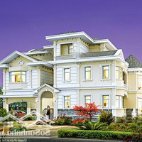 Bán Biệt Thự View Đẹp Tại Biệt Thự Chateau, Đường 19, Tân Phú, Q7, Hcm, 175 Tỷ, 520M2