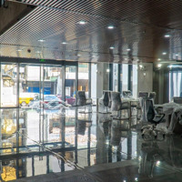 Toà Nhà Phân Khúc Hơn 200 Tỷ Mới Nhất Lõi Trung Tâm Sài Gòn