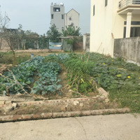 Bán Đất Yên Ninh , Hiền Ninh , Sóc Sơn , Diện Tích: 65M Full Thổ Cư,