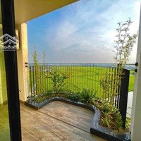 Bán Căn Góc 01 Toà Seaview Residences Giá Trực Tiếp Cđt, Chiết Khấu 500 Triệu