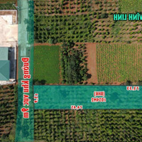 Bán Đất Đẹp Tại Lê Hồng Phong, Vĩnh Hiền, Vĩnh Linh, Quảng Trị, 220 Triệu, 1034 M2