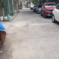 Siêu Phẩm Lô Góc - Ôtô Thông Tại Đhọc Mỏ Khu B - Diện Tích 44M - Sẵn Nhà Cấp 4 - Ảnh Thực Tế