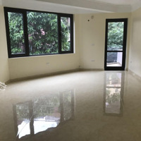 Cho Thuê Sàn Vp 30M2,85M2 Ngõ 61 Hoàng Cầu, Đống Đa: 0978868818