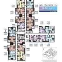 Mở bán tòa căn hộ S2.17 Vinhomes Ocean Park, thanh toán 30% nhận nhà