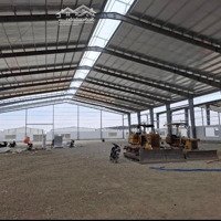 Nhà Xưởng Ngay Kcn Vsip Ii, Hoà Phú - Tdm - Bình Dương Đang Có Hđ Thuê