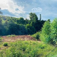 Không Có Lô Thứ 2, Bám Suối, Nằm Trong Khu Biệt Thự 525M2 Sẵn 100M2 Thổ Cư, Chỉ 1,25 Tỷ