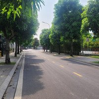 Hàng Hiếm! Biệt Thự Song Lập 149,4M2 Hoàn Thiện Tại Vinhomes Gia Lâm. Cam Kết Giá Tốt Nhất 24,8 Tỷ