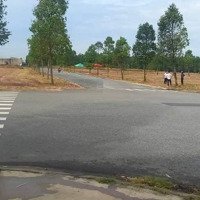 Bán Đất Nc, Lai Uyên, Bàu Bàng, Bình Dương, Giá Tốt 1,25 Tỷ, 150M2