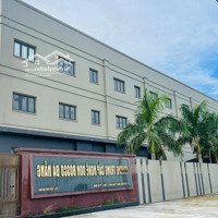 Chính Chủ Bán Đường Phan Du (7M5) Hoà Xuân, Cẩm Lệ