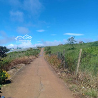 1513M2 Có Sẵn 400M Thổ Cư, Sát Ql, Tại Trạm Hành- Đà Lạt. Giá Giảm Từ 6,8 Tỷ Về 6 Tỷ Tl