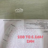 Đất Đườngdiện Tích602 Hoà Ninh 1 Ngay Trung Tâm Xã - Chợ Cần Bán Với Giá Rẻ