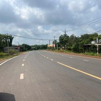 Bán Gấp Lô Đất Ngay Kcn Vsip 7M Mặt Tiền Có Sẵn 100M2 Thổ Cư Giá Chỉ 450 Triệu