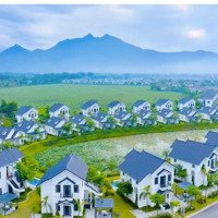 Biệt Thự Đế Liên 2 Tầng Vườn Vua Giá 6-8 Tỷ. Ck 14%. Miễn Lãi Gốc 3 Năm